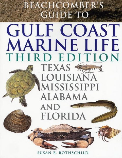 Beachcomber's Guide to Gulf Coast Marine Life