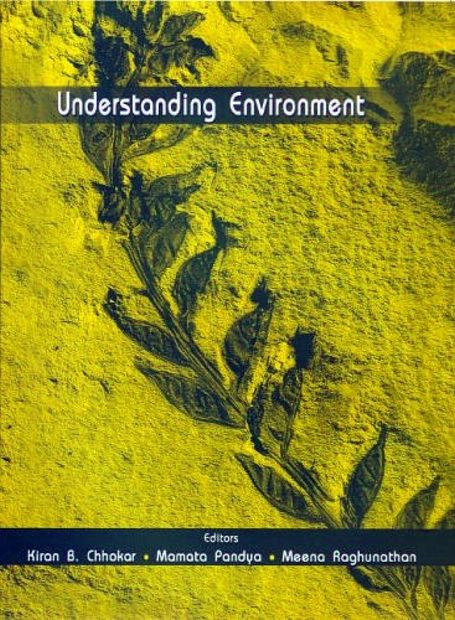 Understanding Environment