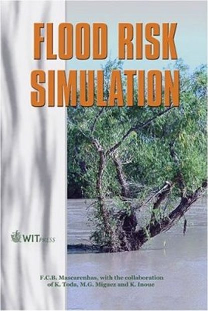 Flood Risk Simulation
