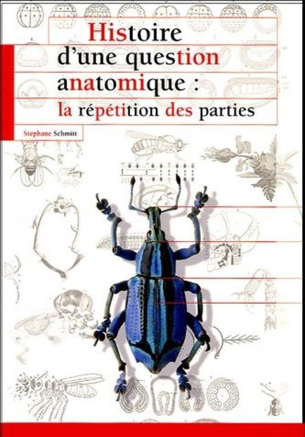 Histoire d'Une Question Anatomique