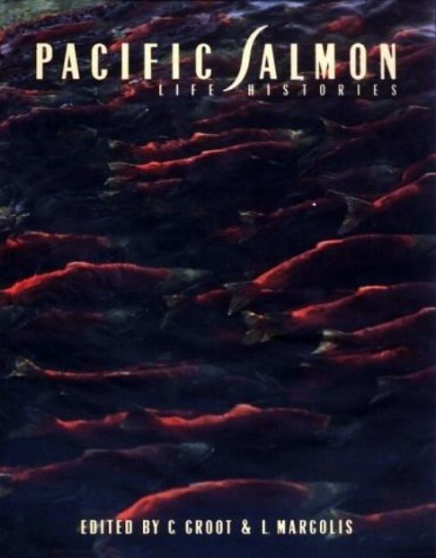 Pacific Salmon