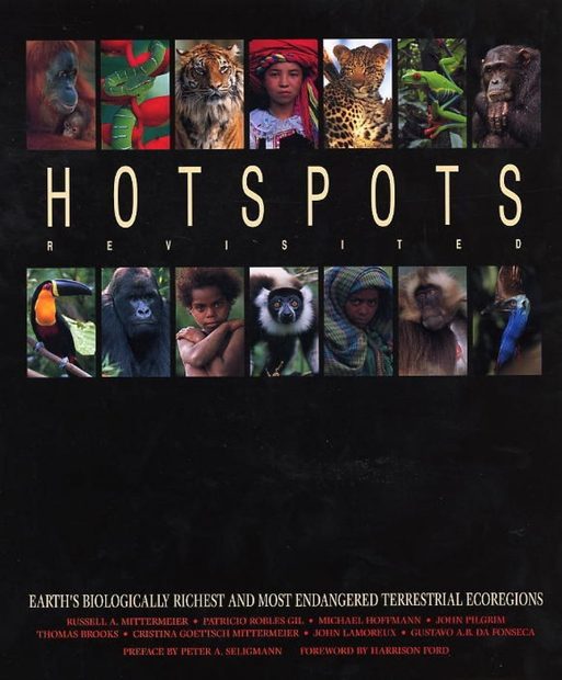 Hotspots Revisited