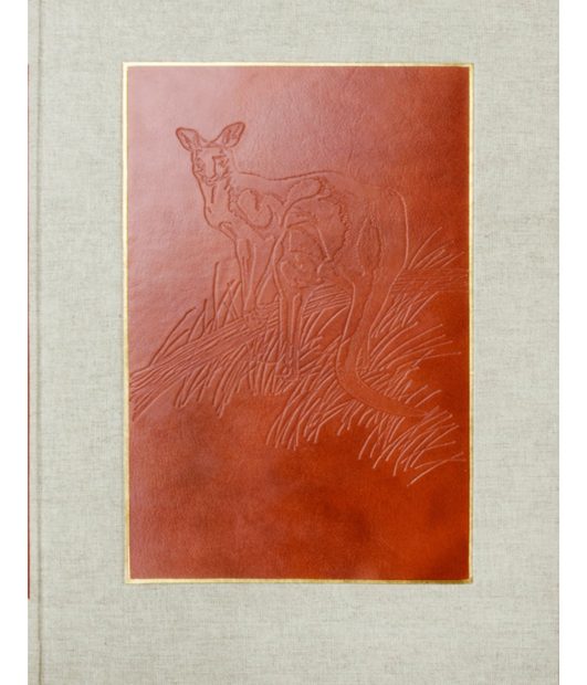 Marsupials of Australia, Volume 3