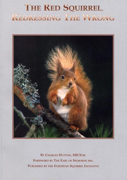 The Red Squirrel