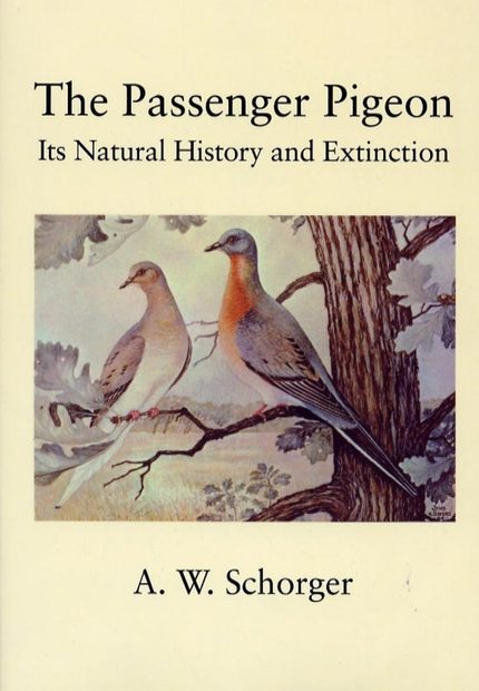 The Passenger Pigeon