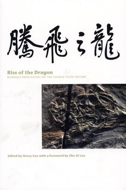 Rise of the Dragon