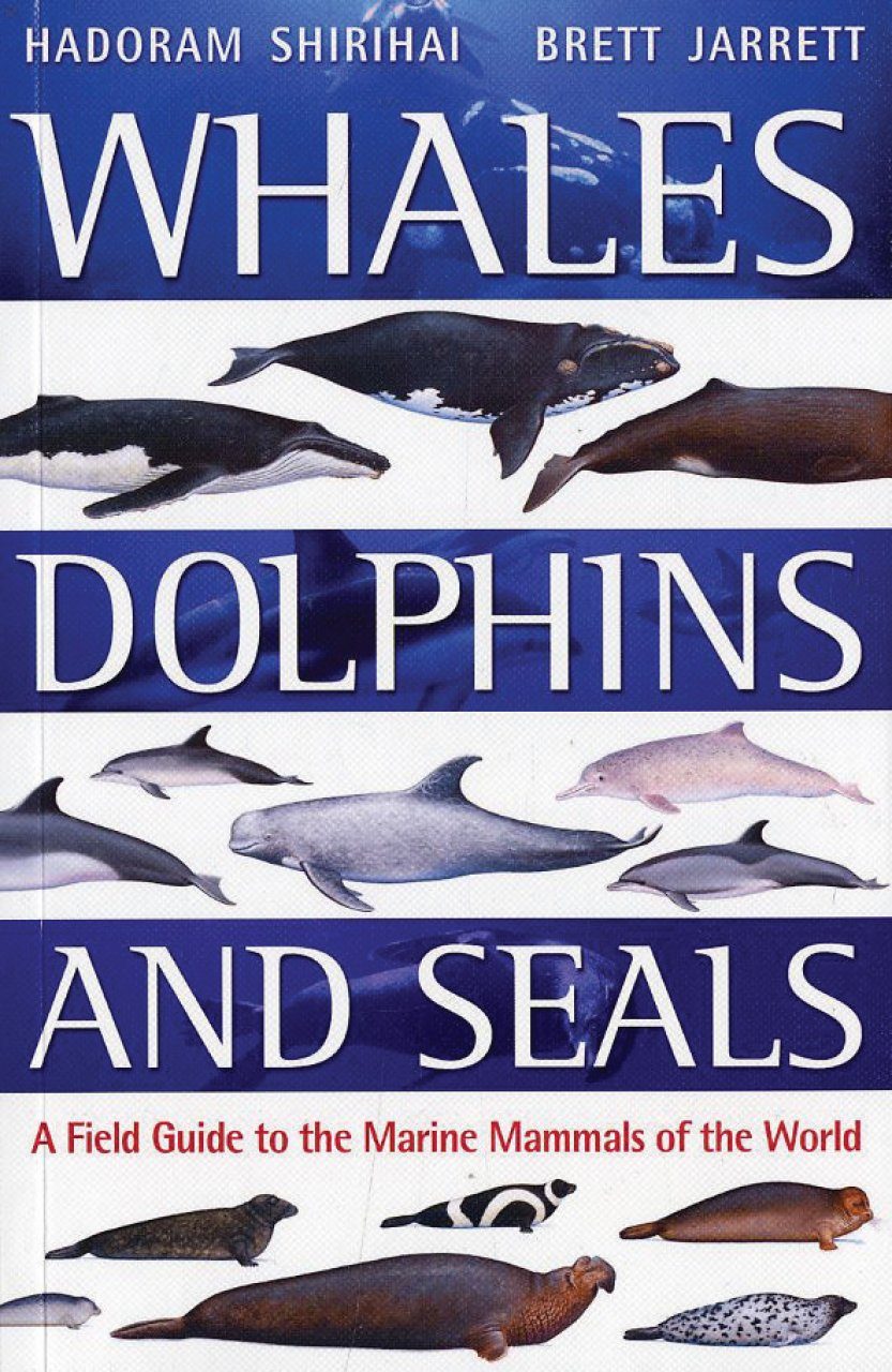 Whales Dolphins And Seals A Field Guide To The Marine