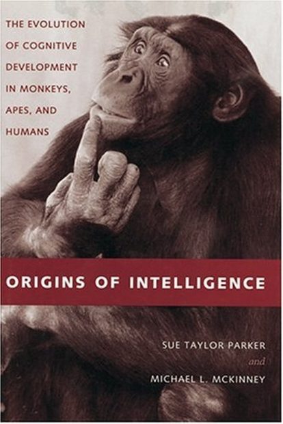 Origins of Intelligence