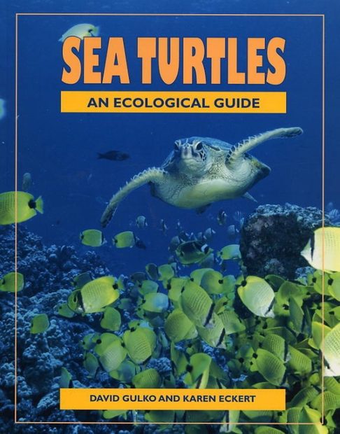 Sea Turtles