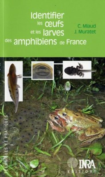 Identifier les Oeufs et les Larves des Amphibiens de France