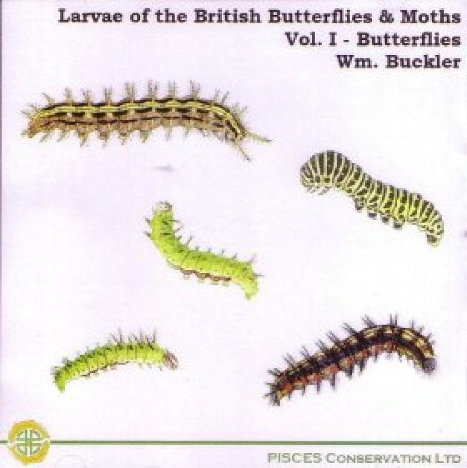 Larvae Of The British Butterflies Moths Volume 1 Butterflies Larvae Of The British Butterflies Moths Volume 1 Butterflies
