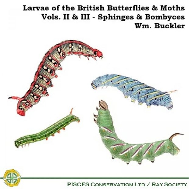 Larvae of the British Butterflies & Moths: Volumes 2 & 3