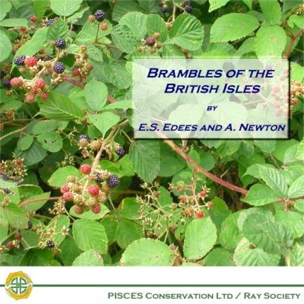 Brambles of the British Isles