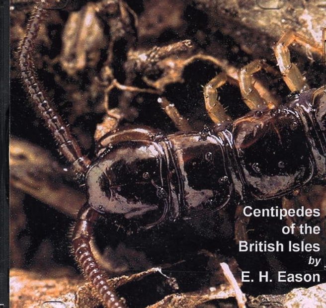 Centipedes of the British Isles