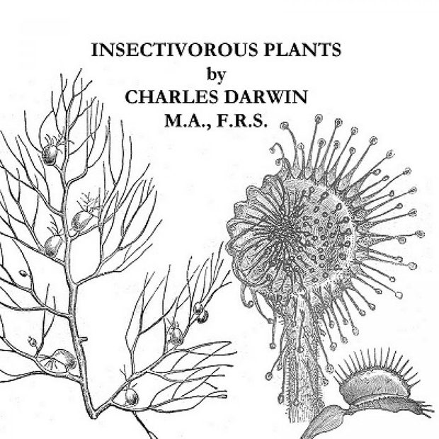 Insectivorous Plants