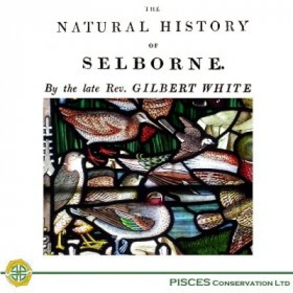 Selbourne Routledge The Natural History of Selborne | NHBS Academic & Professional Books