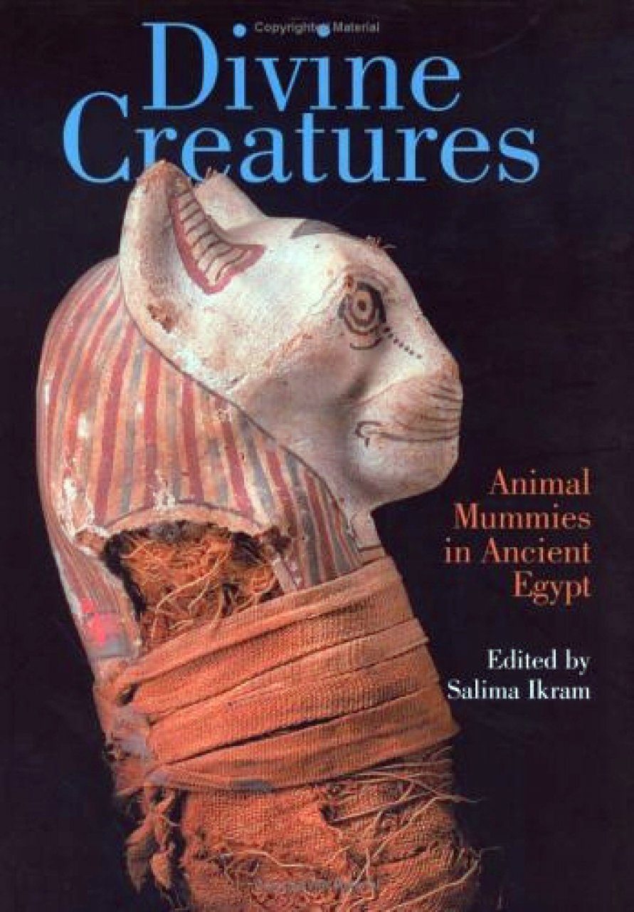 Divine Creatures: Animal Mummies in Ancient Egypt | NHBS Academic &  Professional Books