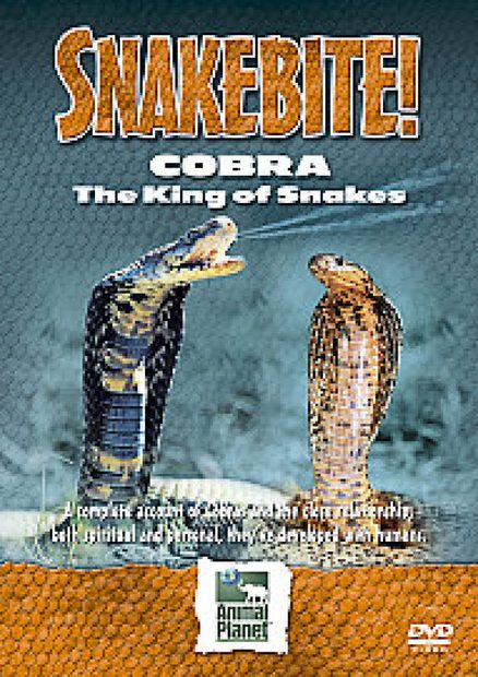 Cobra: The King of Snakes (Region 2)