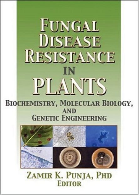 Fungal Disease in Plants