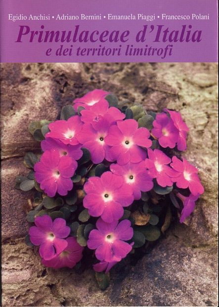 Primulaceae d'Italia e dei Territori Limitrofi [Primulacaee of Italy and Neighbouring Countries]