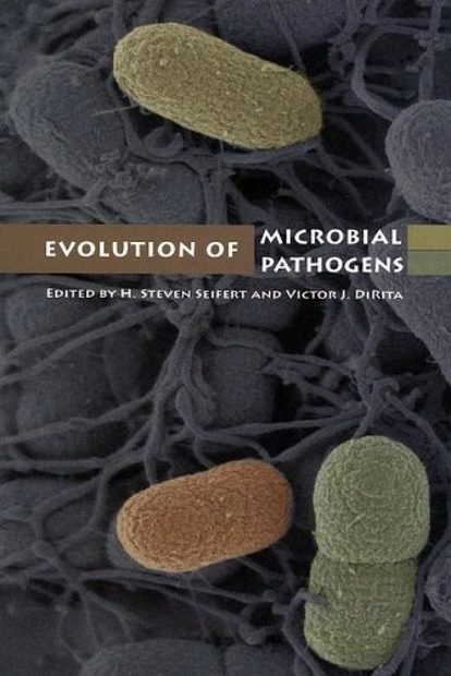 The Evolution of Bacterial Pathogens