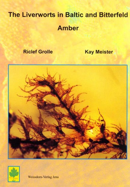 The Liverworts in Baltic and Bitterfeld Amber