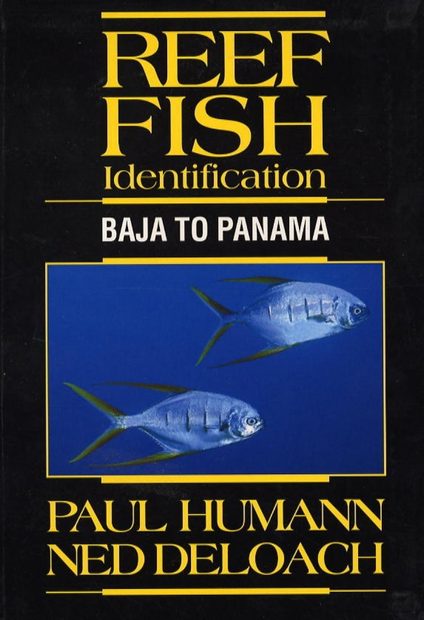 Reef Fish Identification: Baja to Panama