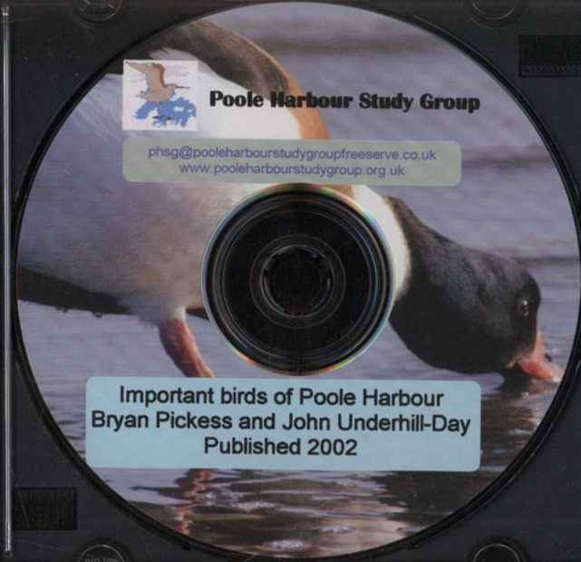 Important Birds of Poole Harbour