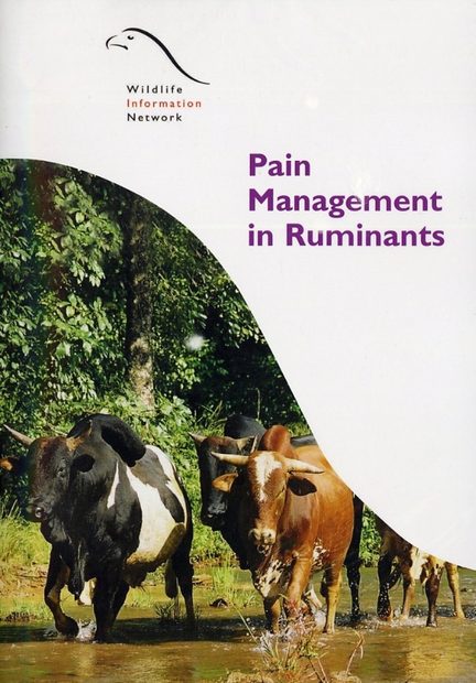 Pain Management in Ruminants