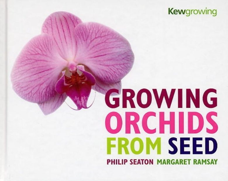 Growing Orchids from Seed