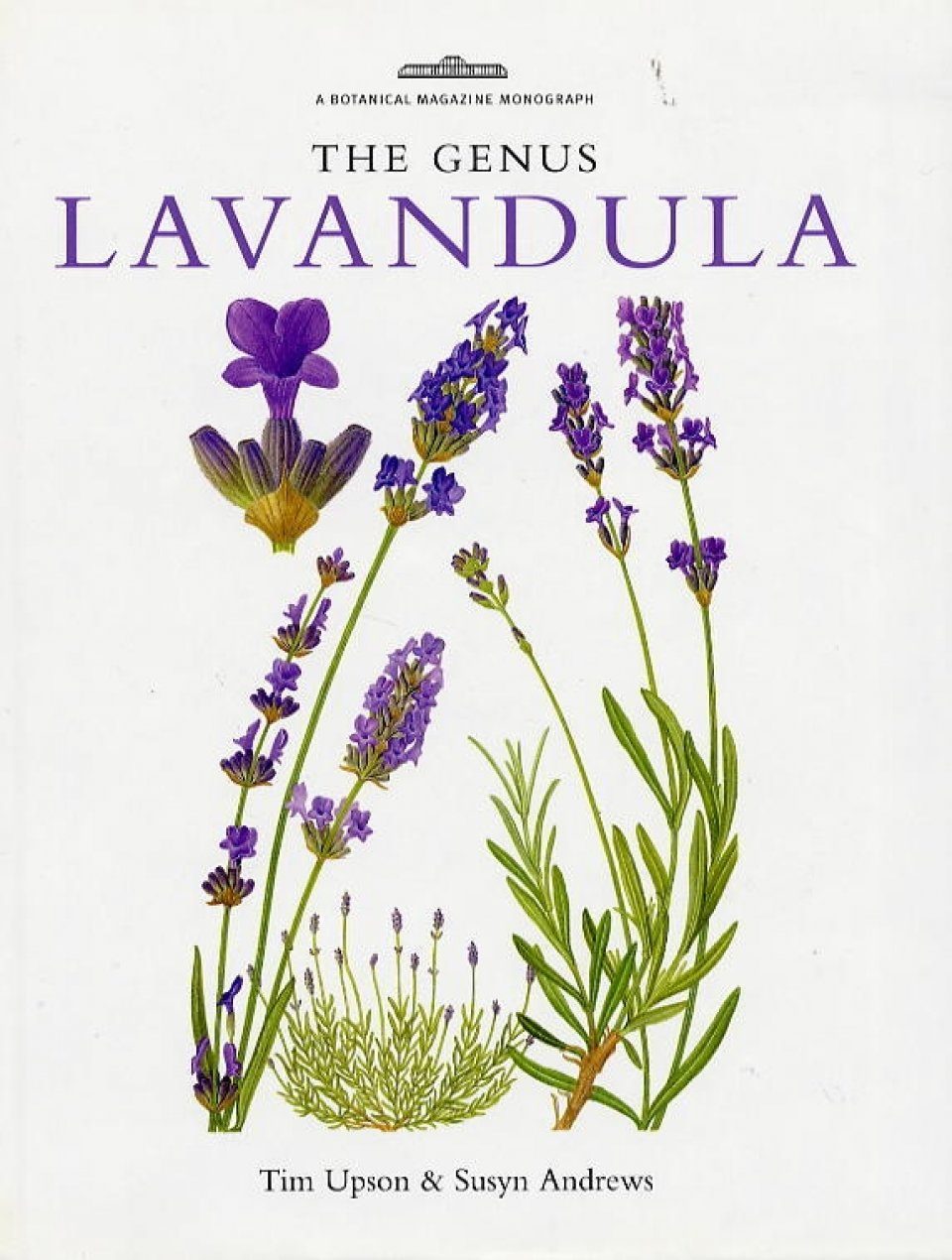 The Genus Lavandula | NHBS Academic & Professional Books