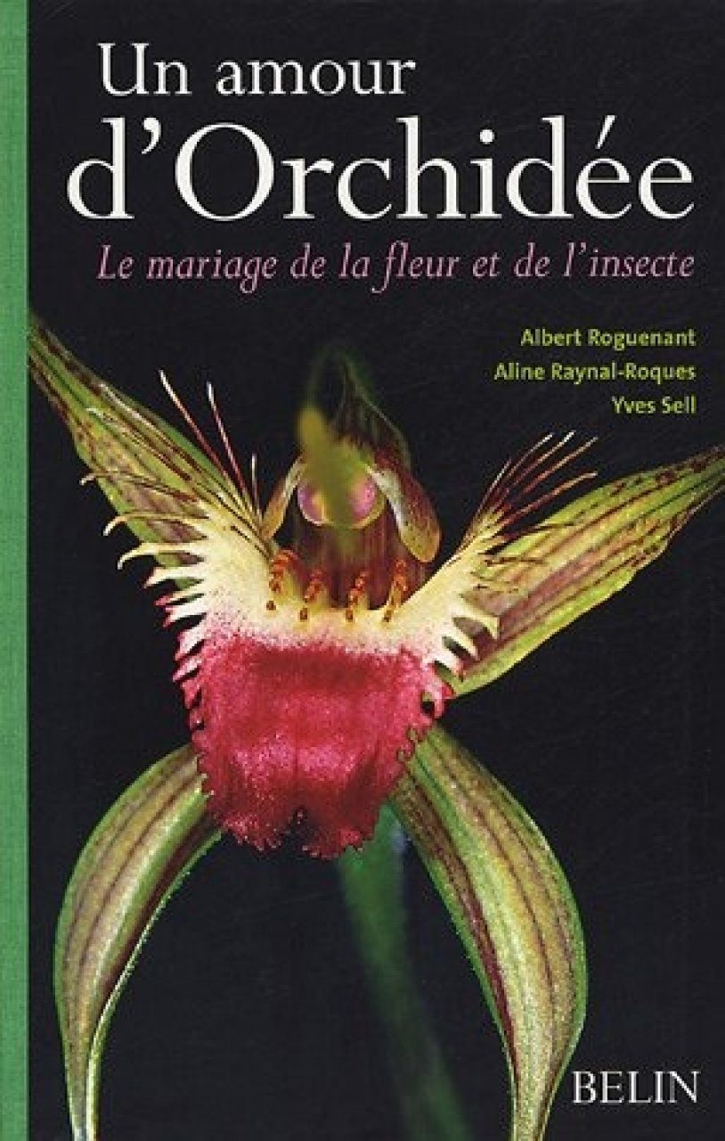 Un Amour Dorchidee Le Mariage De La Fleur Et De Linsecte