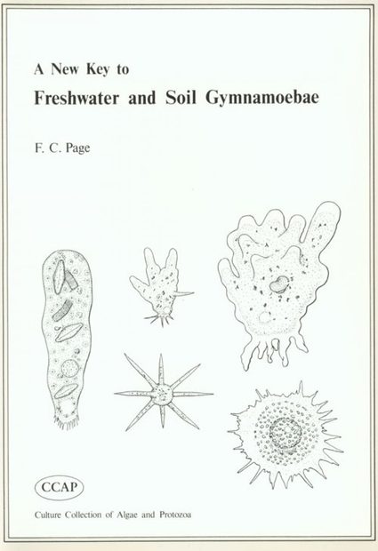 A New Key to Freshwater and Soil Gymnamoebae