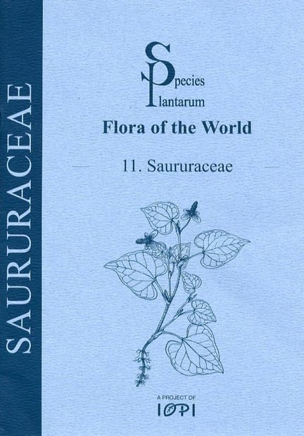 Species Plantarum: Saururaceae