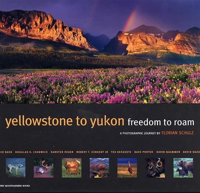 Yellowstone to Yukon: Freedom to Roam