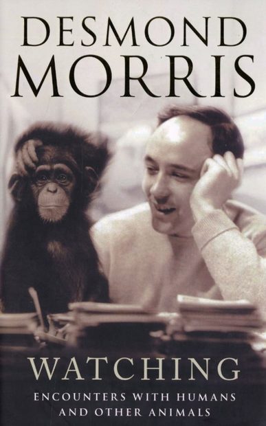 Animism: Respecting the Living World