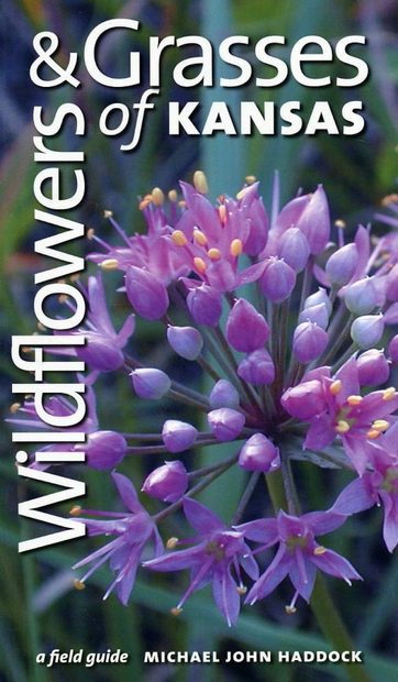Wildflowers & Grasses of Kansas