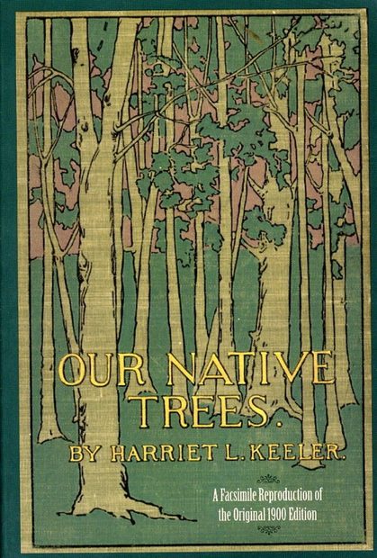 Our Native Trees and How to Identify Them: A Popular Study of Their Habitats and their Peculiarities