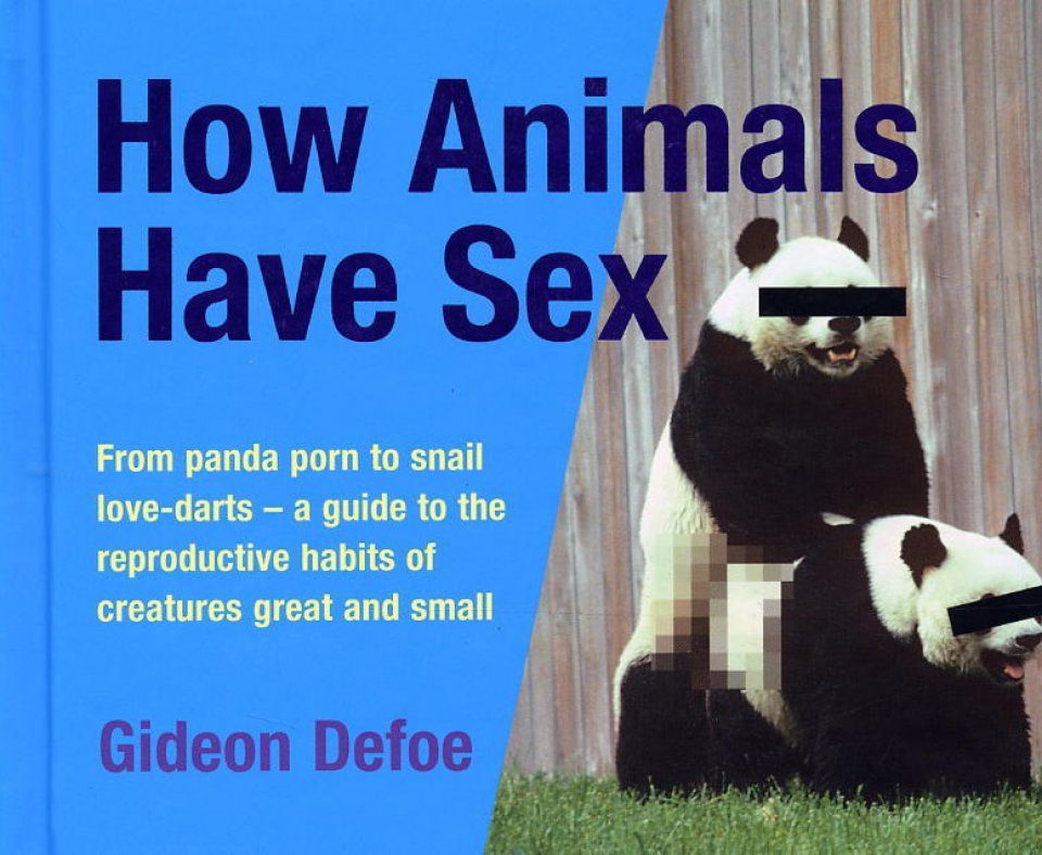 Why do people have sex with animals.