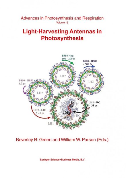 Light-Harvesting Antennas in Photosynthesis