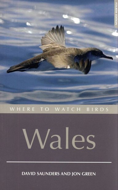 Where to Watch Birds in Wales
