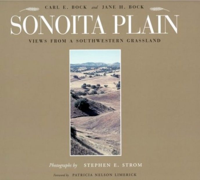 Sonoita Plain