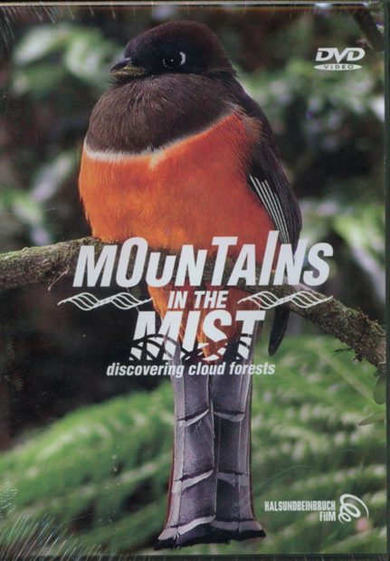 Mountains in the Mist