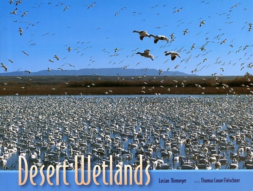 Desert Wetlands