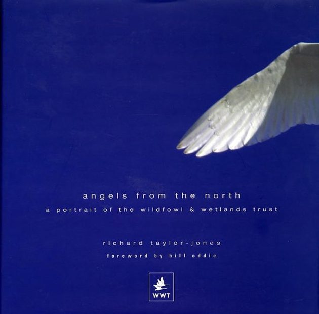 Angels from the North