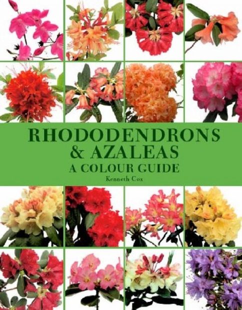 Rhododendrons and Azaleas