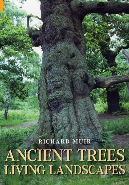 Ancient Trees, Living Landscapes