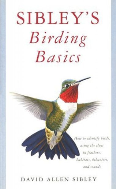 Sibley's Birding Basics