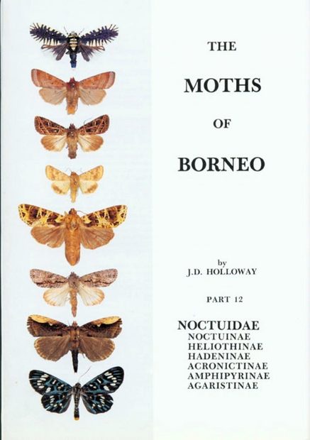 The Moths of Borneo, Part 12