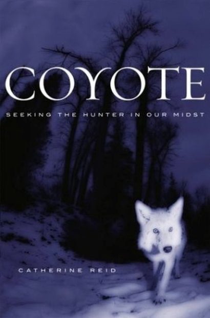 Coyote: Seeking the Hunter in Our Midst